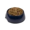 Great&Small Navy Melamine Dish -Pampered Paws 211043