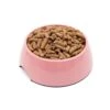 Great&Small Rose Pink Melamine Bowl -Pampered Paws 212870web