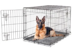 Dogit 2 Door Wire Dog Crate Black