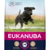 Eukanuba Developing Junior Large Breed Dog Food With Chicken -Pampered Paws 63709
