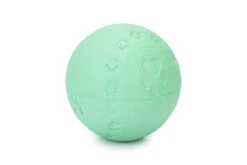 Beeztees Puppy Rubber Play Ball Green
