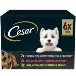 6 X Cesar Natural Goodness Adult Wet Dog Food Tins Mixed In Loaf 400g