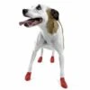 Pawz Dog Boots Red Small -Pampered Paws 773750