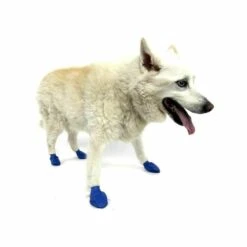 Pawz Dog Boots Blue Medium