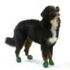 Pawz Dog Boots Green Extra Large 2 Pawz Dog Boots Green Extra Large -Pampered Paws 773815