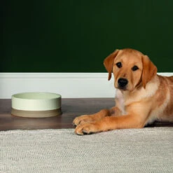 Scruffs® Scandi Non Tip Bowl Cream -Pampered Paws 823205 2 1