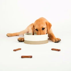 Scruffs® Scandi Non Tip Bowl Cream -Pampered Paws 823205 3 1