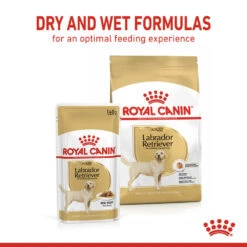 ROYAL CANIN® Labrador Retriever Adult In Gravy Wet Dog Food -Pampered Paws a8n8hwzpioj4at0pojzv