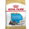 ROYAL CANIN® Miniature Schnauzer Puppy Dry Food -Pampered Paws b3gofh7vf1zfzrauthjw