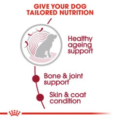 ROYAL CANIN® Medium Ageing 10+ Senior In Gravy Wet Dog Food -Pampered Paws btkp5enrqtymjhs3az08