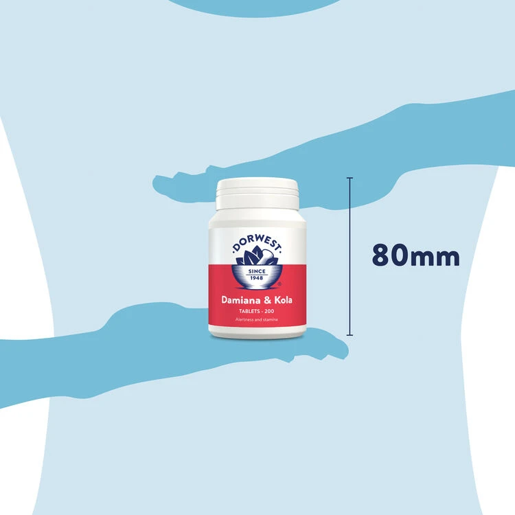 Dorwest Damiana & Kola Tablets 8 Dorwest Damiana & Kola Tablets - Image 6