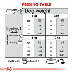 ROYAL CANIN® Mini Dental Care Adult Dry Dog Food -Pampered Paws emr4xtrkwlp8rfta1i2h