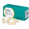 12 X 4.4g Canikur Tablets -Pampered Paws fm 2020 02 18 04 00 54 61242 images