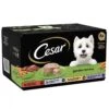 Cesar Garden Terrine Mixed Selection In Loaf Dog Food 1 Cesar Garden Terrine Mixed Selection In Loaf Dog Food -Pampered Paws fm 2021 05 20 08 49 52 47942 images