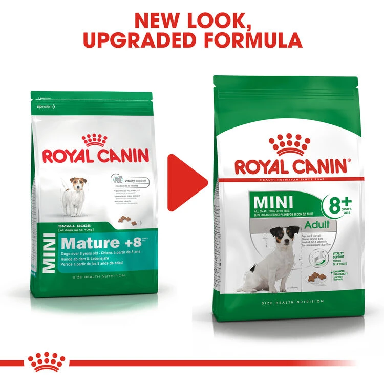 ROYAL CANIN® Mini Adult 8+ Dry Dog Food 5 ROYAL CANIN® Mini Adult 8+ Dry Dog Food - Image 3
