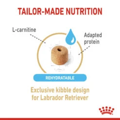 ROYAL CANIN® Labrador Retriever Adult 5+ Dry Dog Food -Pampered Paws hhq1rzrvfvhci3w7k5jf