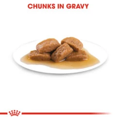 ROYAL CANIN® Maxi Large Breed Ageing 8+ In Gravy Wet Dog Food 15 ROYAL CANIN® Maxi Large Breed Ageing 8+ In Gravy Wet Dog Food -Pampered Paws humhe8o4xkluqg5sotdc