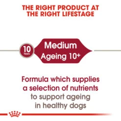 ROYAL CANIN® Medium Ageing 10+ Senior In Gravy Wet Dog Food -Pampered Paws im3wb8d3a656oklgkqpj