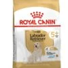 ROYAL CANIN® Labrador Retriever Adult 5+ Dry Dog Food -Pampered Paws knsbemofv0xfsmoyogi6