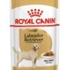 ROYAL CANIN® Labrador Retriever Adult In Gravy Wet Dog Food -Pampered Paws lpssv9yqywdhsjctecst