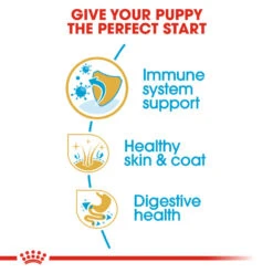 ROYAL CANIN® Cocker Puppy Dry Food -Pampered Paws ornhrgcaz5munugptfaa