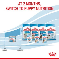 ROYAL CANIN® Starter Mother & Babydog Adult And Puppy Wet Food -Pampered Paws pe5kjk4mhomvkd21ktvn
