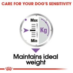 ROYAL CANIN® Sterilised Care Wet Pouches Adult Dog Food 15 ROYAL CANIN® Sterilised Care Wet Pouches Adult Dog Food -Pampered Paws qbr7516gshlslpe9achs