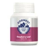 Dorwest Raspberry Leaf Tablets 2 Dorwest Raspberry Leaf Tablets -Pampered Paws rl100