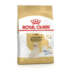 ROYAL CANIN® Labrador Retriever Adult 5+ Dry Dog Food -Pampered Paws rp5z2j5l3lqefc2bqzoz