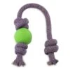Beco Ball On A Rope Green -Pampered Paws rrts 003 1 187431 500x 28129