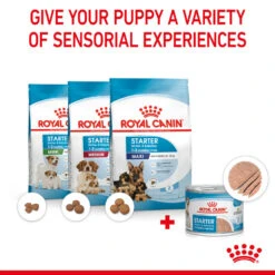 ROYAL CANIN® Starter Mother & Babydog Adult And Puppy Wet Food -Pampered Paws s6iaw1ln1obxinwy7x7j