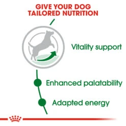 ROYAL CANIN® Mini Adult 8+ Dry Dog Food 17 ROYAL CANIN® Mini Adult 8+ Dry Dog Food -Pampered Paws ua8h9kdbi0p1xipiuwyj