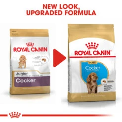 ROYAL CANIN® Cocker Puppy Dry Food -Pampered Paws uiaaivi3n10j58cmpsmn