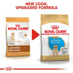 ROYAL CANIN® Labrador Retriever Puppy Dry Food -Pampered Paws uyzxlfmym0jeekcgfv9d