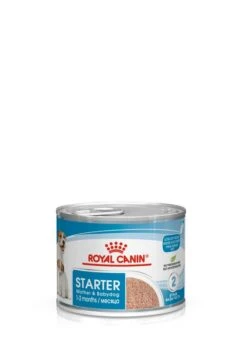 ROYAL CANIN® Starter Mother & Babydog Adult And Puppy Wet Food -Pampered Paws vlnlbhukitysuxfaspnf