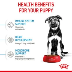 ROYAL CANIN® Maxi Large Breed Puppy Dry Food -Pampered Paws vmvyreh6bewlxxb0no1i