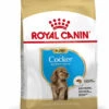 ROYAL CANIN® Cocker Puppy Dry Food -Pampered Paws wifxdyp9r34g0gh3b1sb