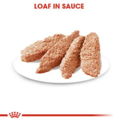 ROYAL CANIN® Sterilised Care Wet Pouches Adult Dog Food 14 ROYAL CANIN® Sterilised Care Wet Pouches Adult Dog Food -Pampered Paws xqsbq34i0ek6fps21awi