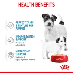 ROYAL CANIN® Starter Mother & Babydog Adult And Puppy Wet Food -Pampered Paws xsnhncd6pds6jvywiunn