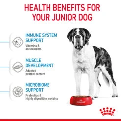 ROYAL CANIN® Giant Junior Puppy Dry Food -Pampered Paws xsxv3qsz3akj36m8nnyc