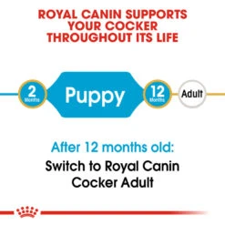 ROYAL CANIN® Cocker Puppy Dry Food -Pampered Paws ynuui5oaqw1tcg4khbzh