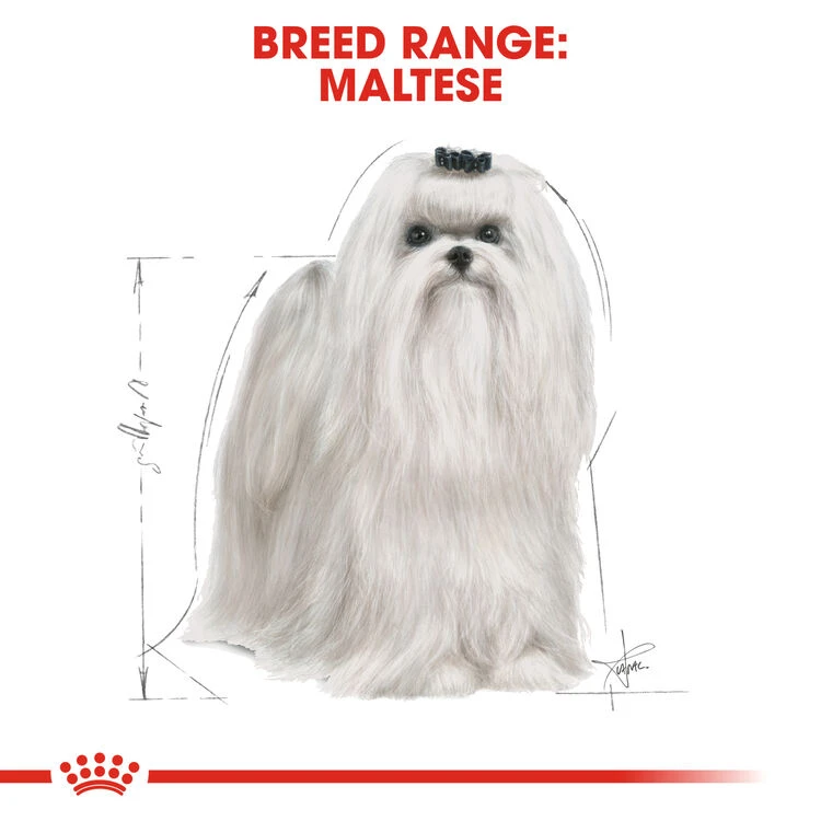 ROYAL CANIN® Maltese Adult Dry Dog Food 5 ROYAL CANIN® Maltese Adult Dry Dog Food - Image 3