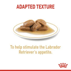 ROYAL CANIN® Labrador Retriever Adult In Gravy Wet Dog Food -Pampered Paws zfgyt6not7ckardn3gsb