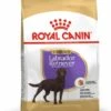 ROYAL CANIN® Labrador Retriever Sterilised Adult Dry Dog Food -Pampered Paws znemk1ygqoajt93ee6jb